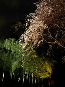 P3275106shuusei.JPG