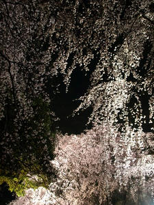 P3275143shuusei.JPG
