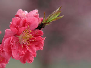 P3254540shuusei.JPG