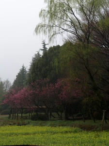 P3254482shuusei.JPG
