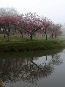P3254467shuusei.JPG
