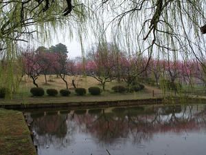 P3254475shuusei.JPG