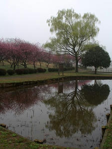 P3254460shuusei.JPG