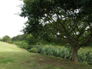 PA170073shuusei.JPG