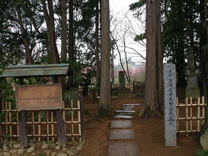 P3254584shuusei.JPG