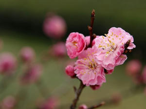 P3254558shuusei.JPG