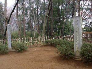 P3254568shuusei.JPG