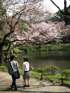 P3254658shuusei.JPG