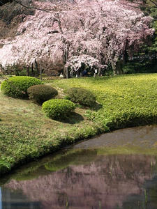 P3254719shuusei.JPG