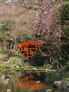 P3254623shuusei.JPG