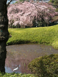 P3254643shuusei.JPG