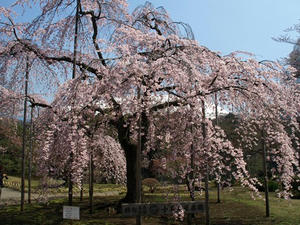 P3254602shuusei.JPG