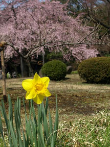 P3254615shuusei.JPG