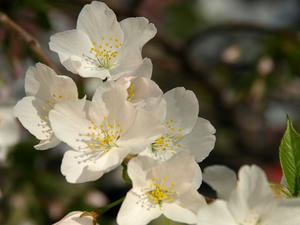 P3254908shuusei.JPG