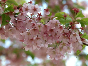 P3254937shuusei.JPG