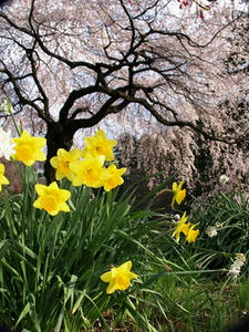 P3254948shuusei.JPG