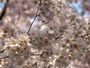 P3254980shuusei.JPG