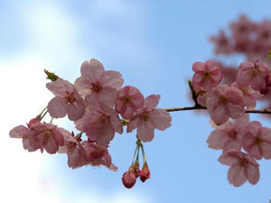 P3254983shuusei.JPG