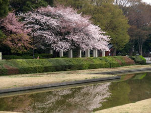 P3275035shuusei.JPG