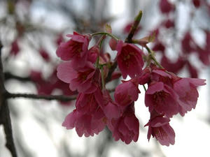 P3275036shuusei.JPG