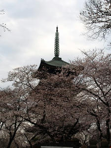 P3275059shuusei.JPG