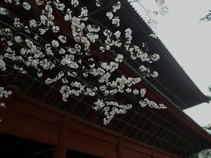 P3285268shuusei.JPG