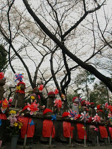 P3285282shuusei.JPG
