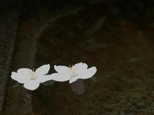 P3285285shuusei.JPG