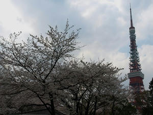 P3285248shuusei.JPG