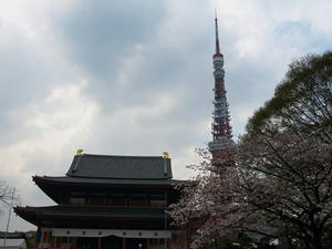 P3285267shuusei.JPG