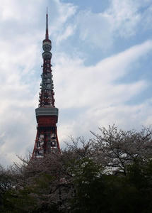 P3285304shuusei.JPG