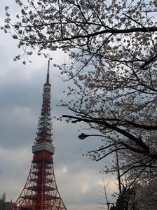 P3285313shuusei.JPG