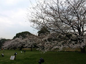 P3285315shuusei.JPG