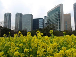 P3285330shuusei.JPG