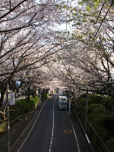 P3295375shuusei.JPG