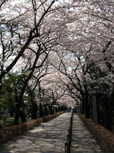 P3295560shuusei.JPG