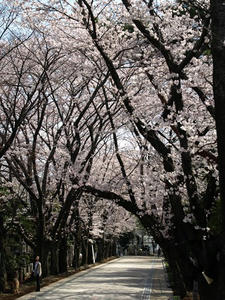 P3295562shuusei.JPG