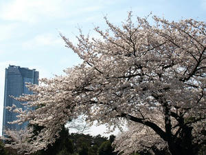 P3295573shuusei.JPG