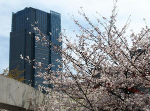 P3295578shuusei.JPG