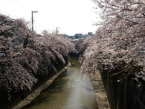 P3285190shuusei.JPG