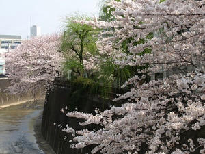 P3285238shuusei.JPG