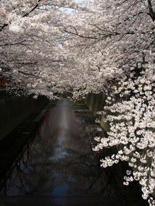 P3295634shuusei.JPG