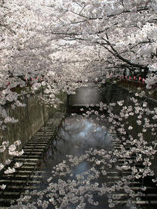 P3295632shuusei.JPG