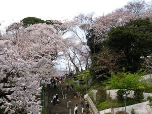 P3295672shuusei.JPG