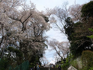P3295677shuusei.JPG
