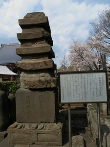 P3295693shuusei.JPG