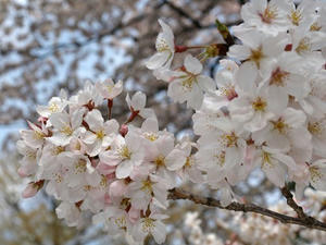 P3295707shuusei.JPG