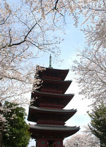 P3295702shuusei.JPG