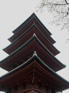 P3295715shuusei.JPG