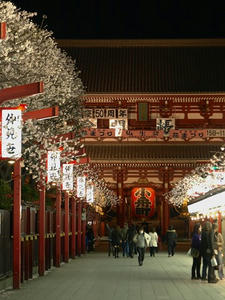 P3315867shuusei.JPG